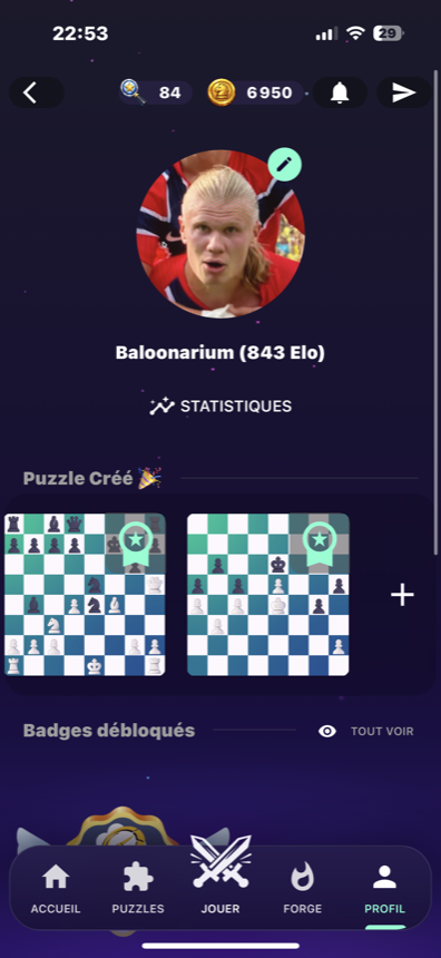Capture BlitzForge d une page profil.